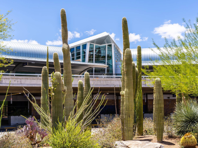 Arizona Borderlands_cacti in front of center
