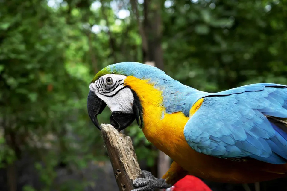 Custom Programs Ecuador by Global Routes