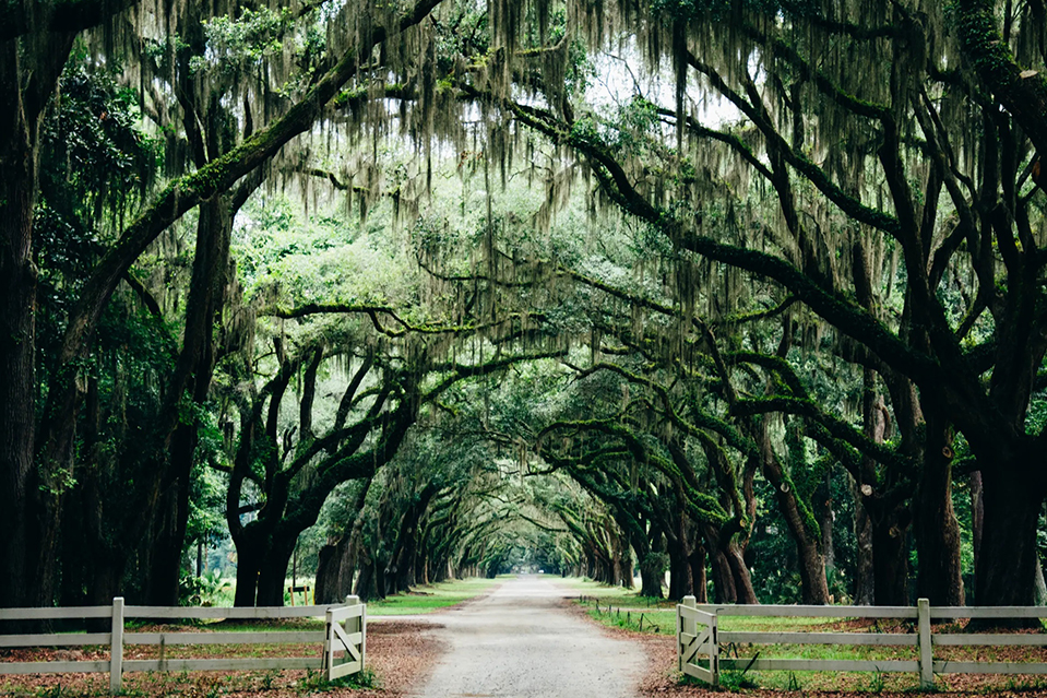 Custom Programs New Orleans by Global Routes