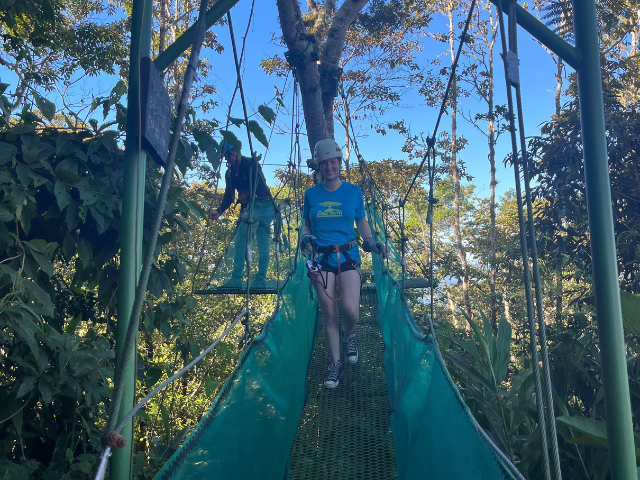 bridge during ziplining
