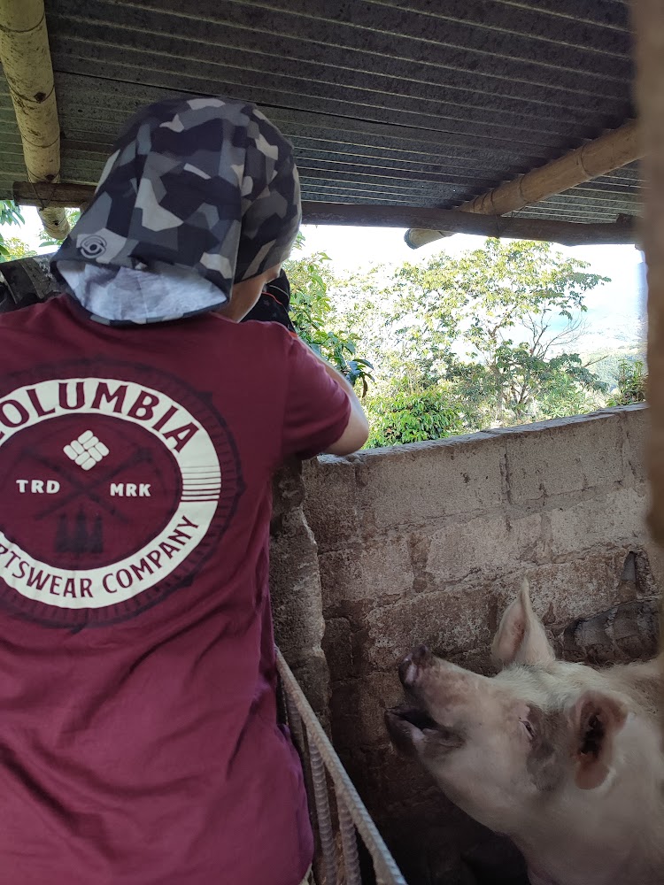student back of shirt interacting with animals