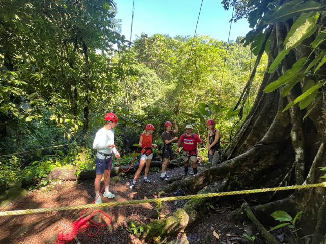 learning how to climb trees