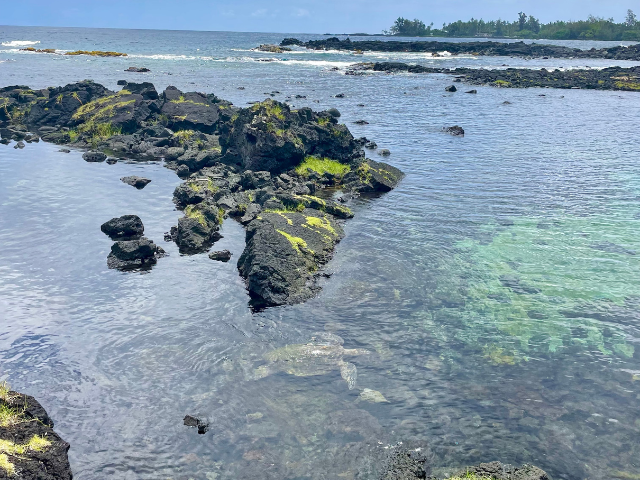 rocks ocean side