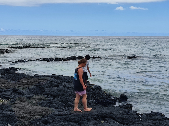 2023-hi-students by coast
